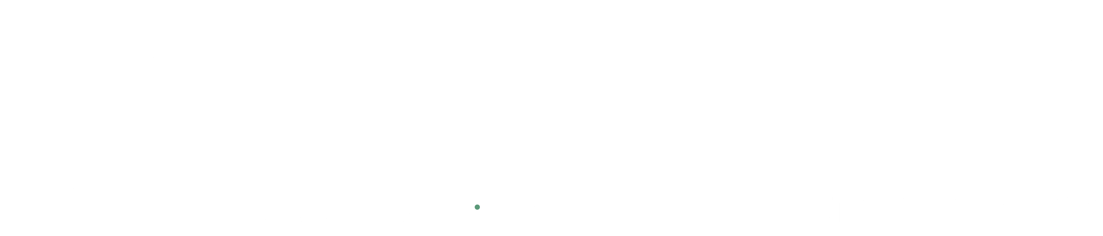 Citadel EHS